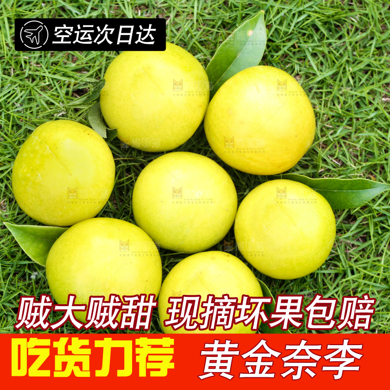 草地上摆放着黄金李