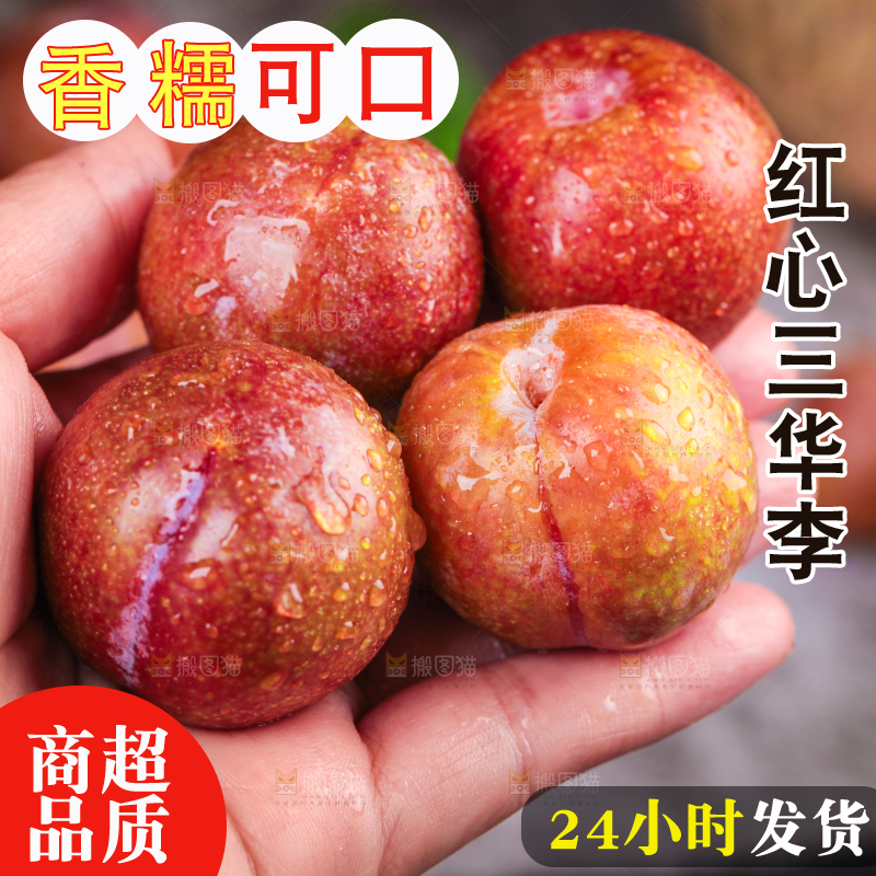 红肉三华李主图