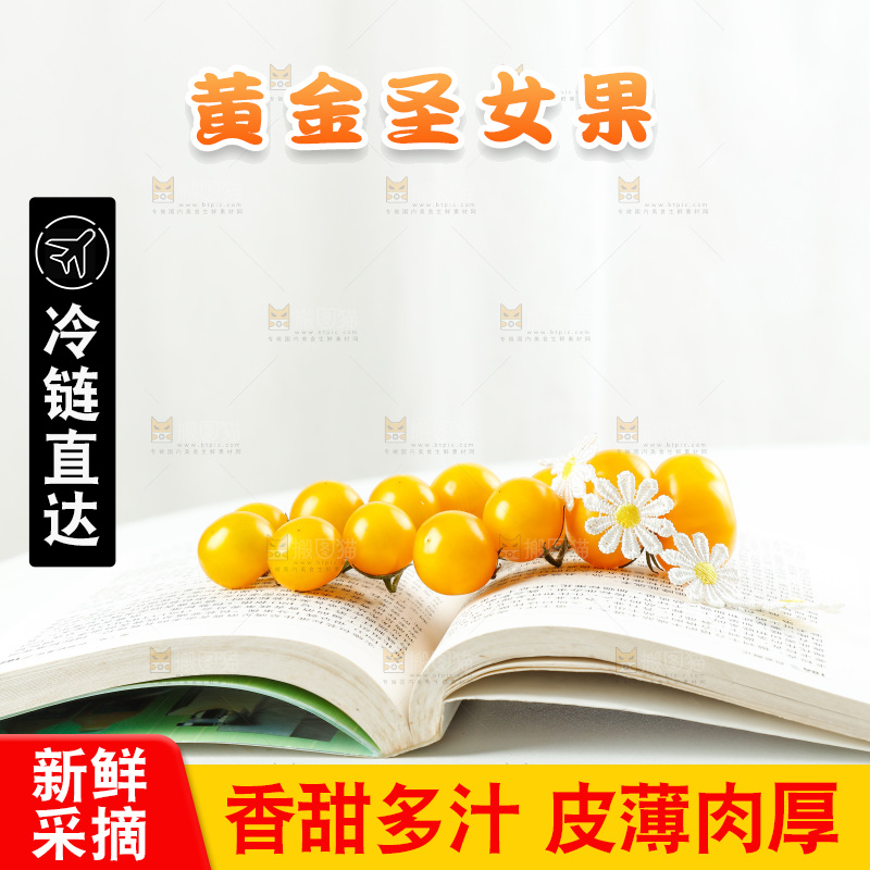 书本上摆放着黄金圣女果