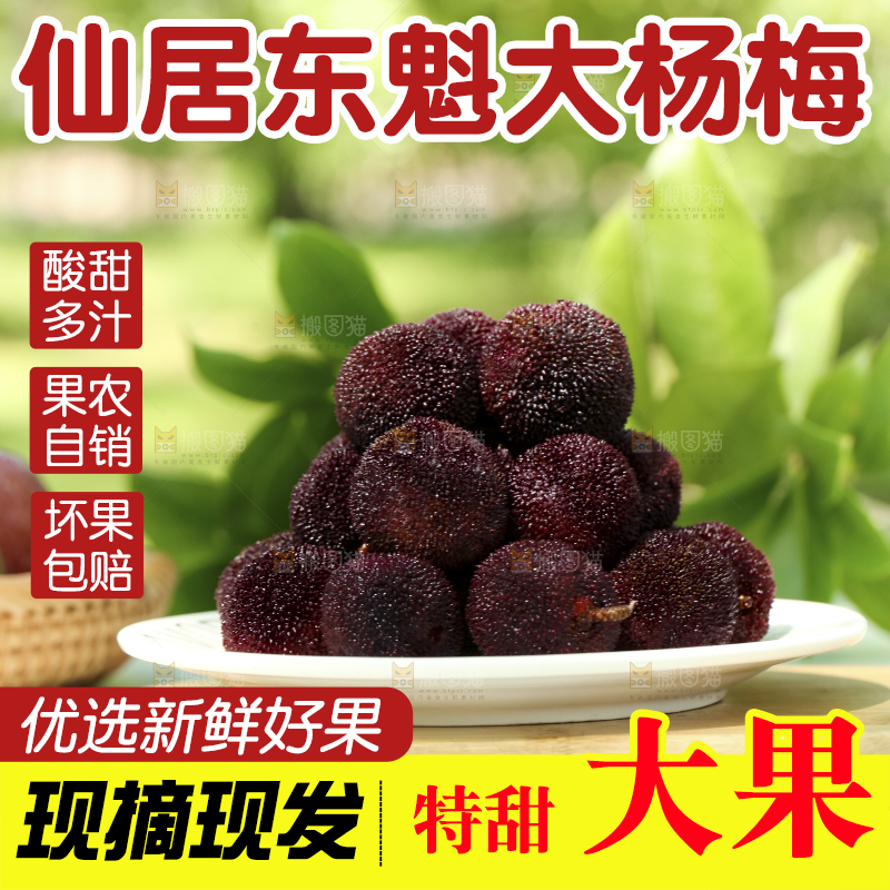 盘子里装着杨梅