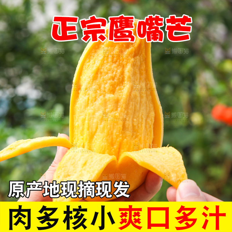 手里拿着象牙芒