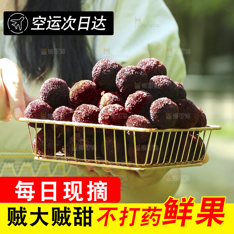 手里拿着一篮杨梅