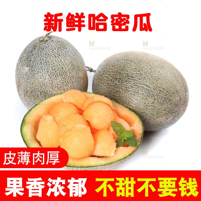 白底上放着网纹瓜