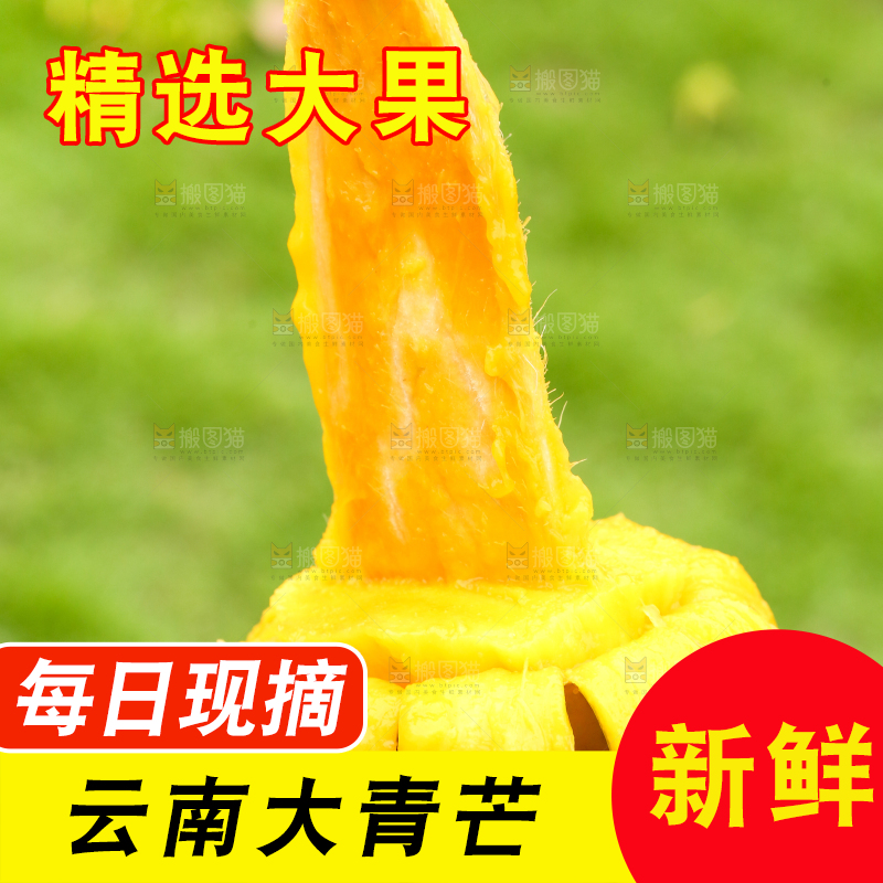 手里拿着青芒