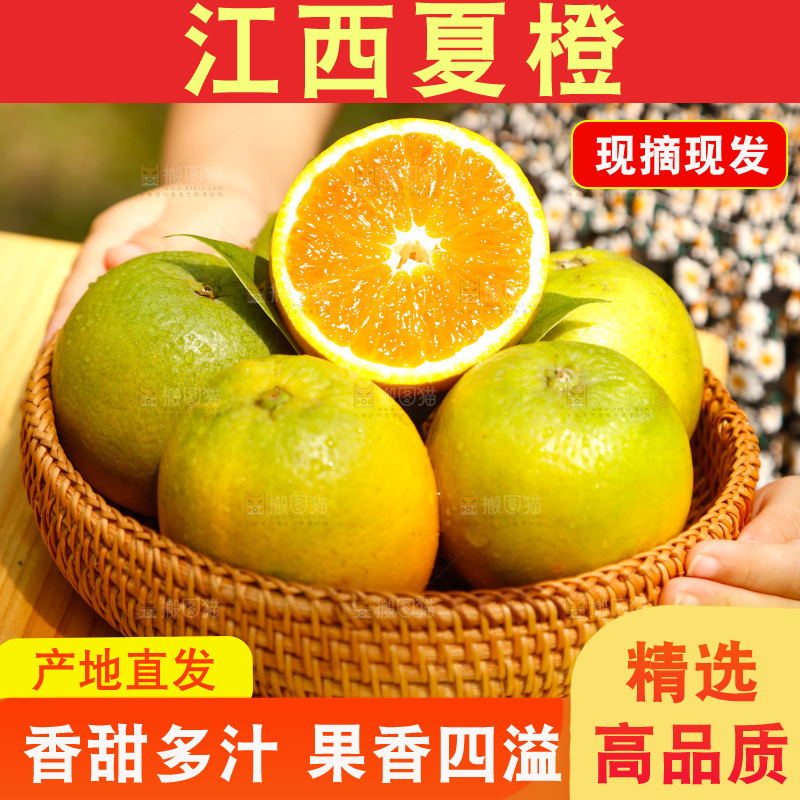木底上摆放着湖北秭归夏橙