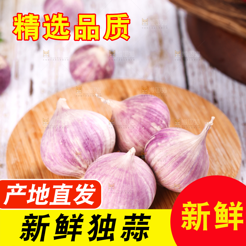 木底上摆放着紫皮独蒜