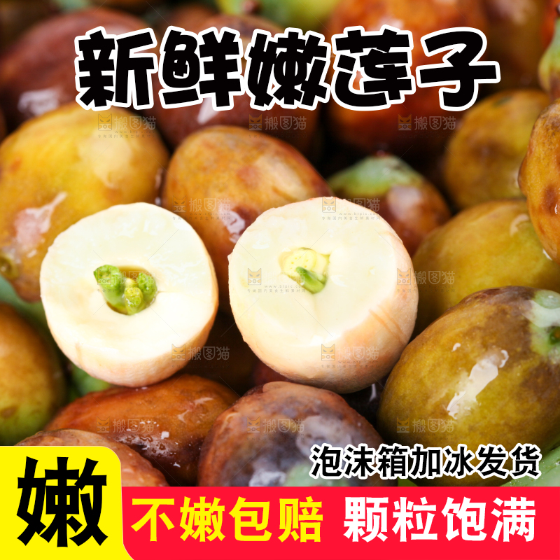 荷叶上摆放着莲蓬子