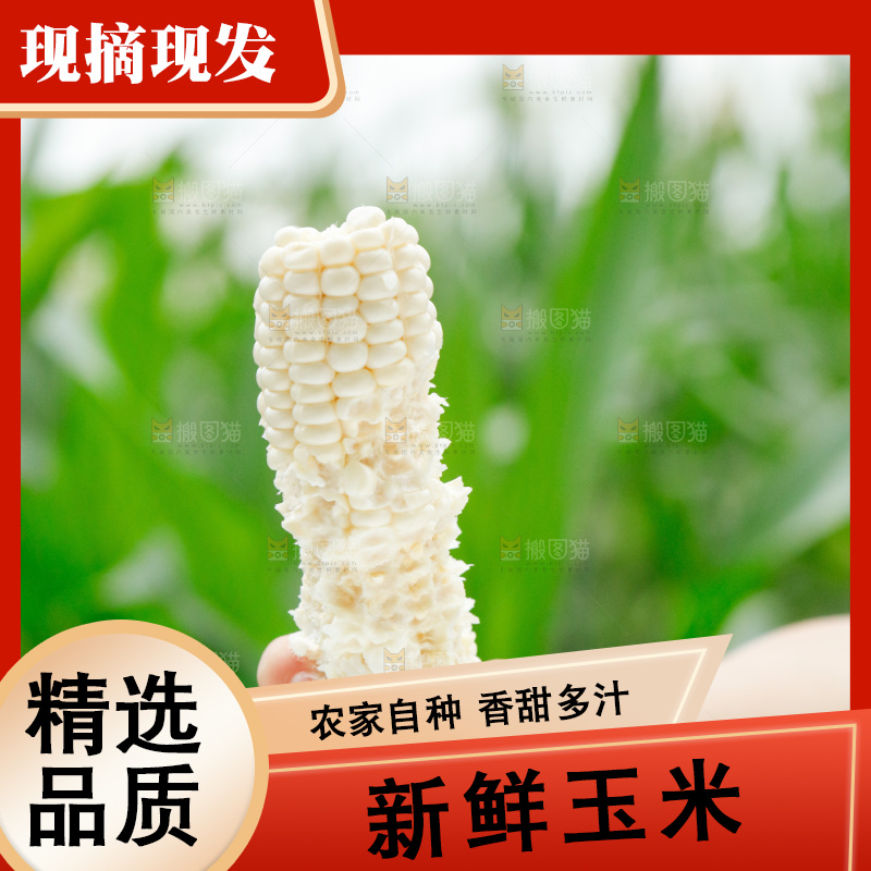 手里拿着牛奶玉米