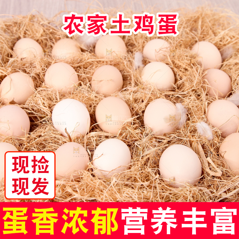 草堆上摆放着生鸡蛋