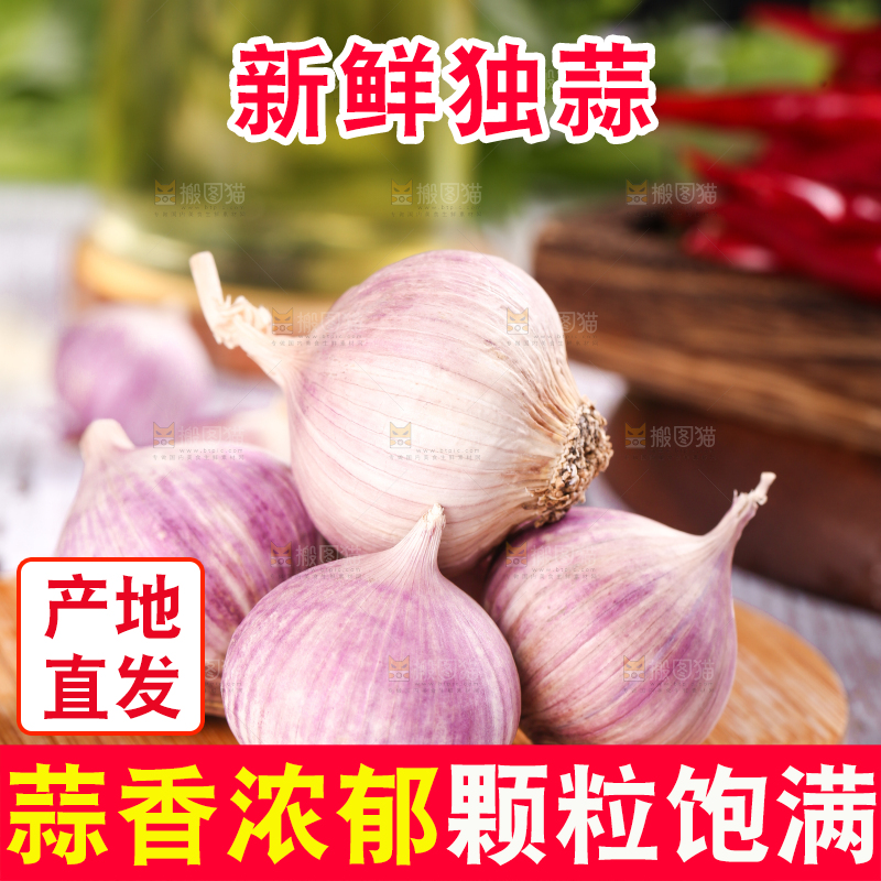 木底上摆放着紫皮独蒜
