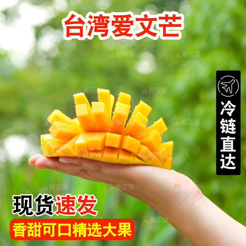 手里拿着切开的苹果芒