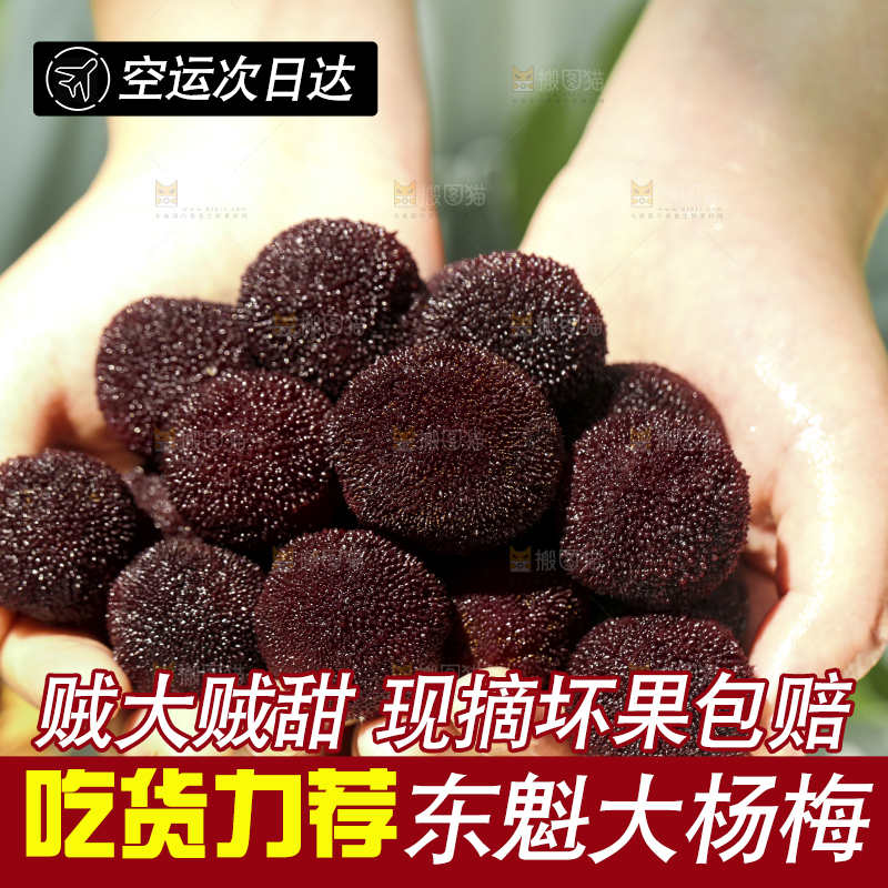 手里捧着新鲜杨梅