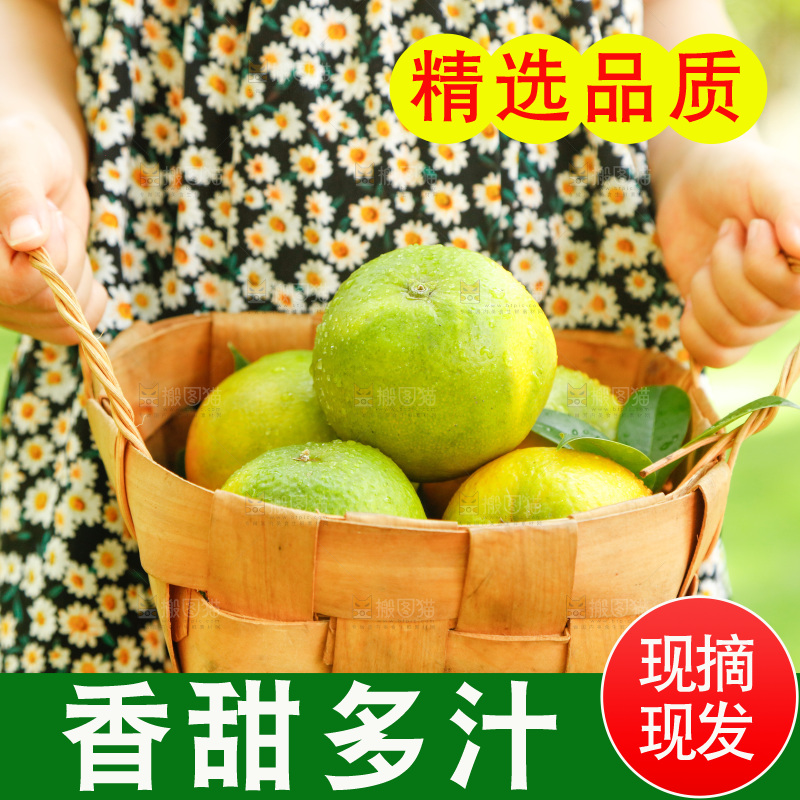 手里提着一篮新鲜夏橙