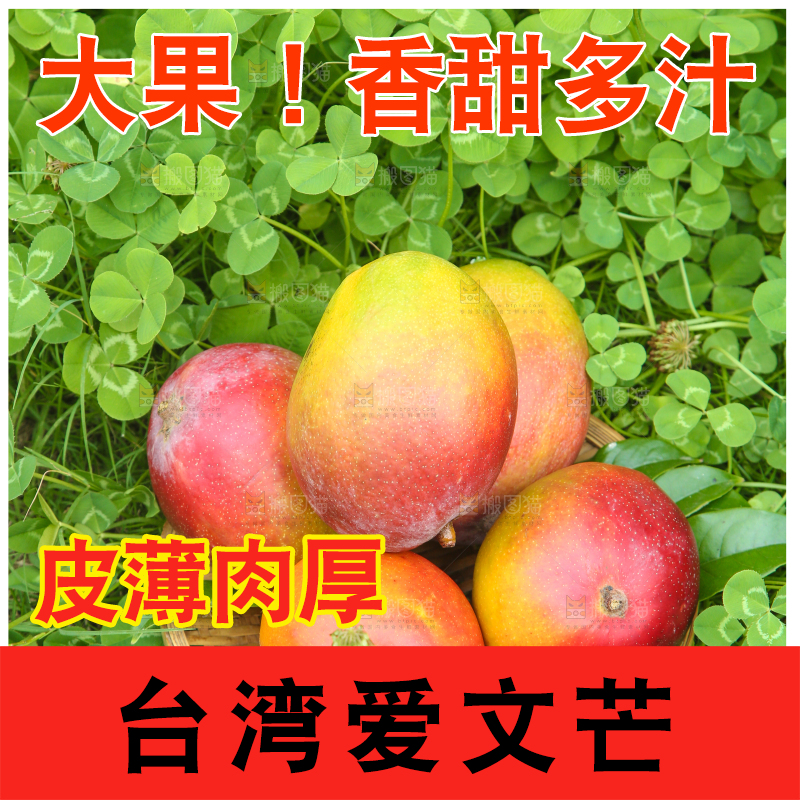 草地上摆放着一篮爱文芒