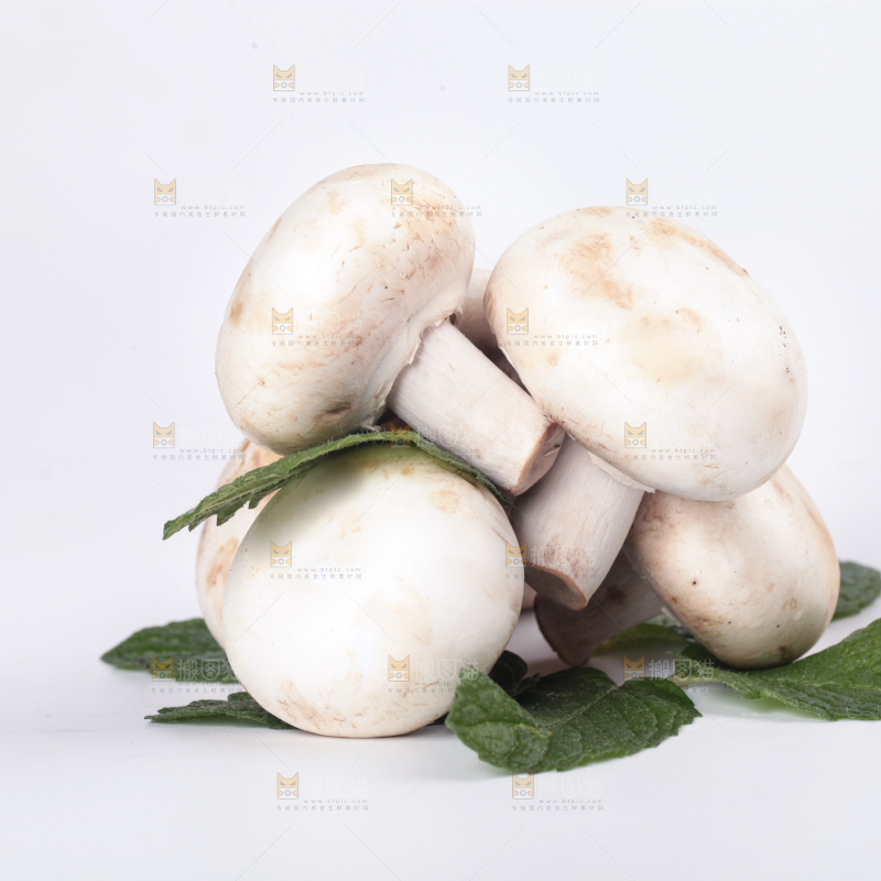 白底上摆放着白菇