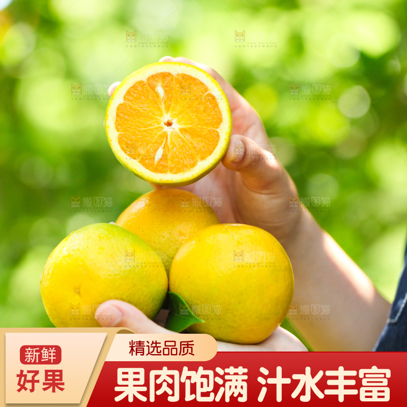 手里拿着秭归夏橙