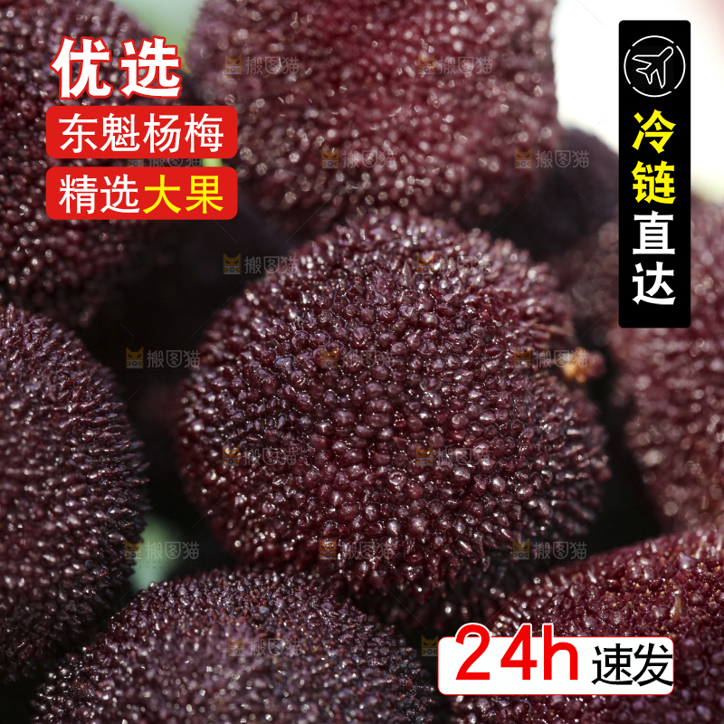 摆放着一堆的杨梅