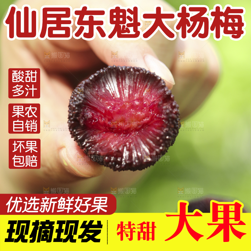 手里拿着野生杨梅