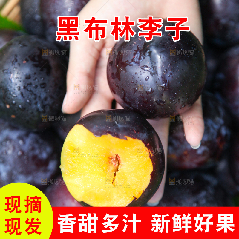 手里拿着黄肉黑布李