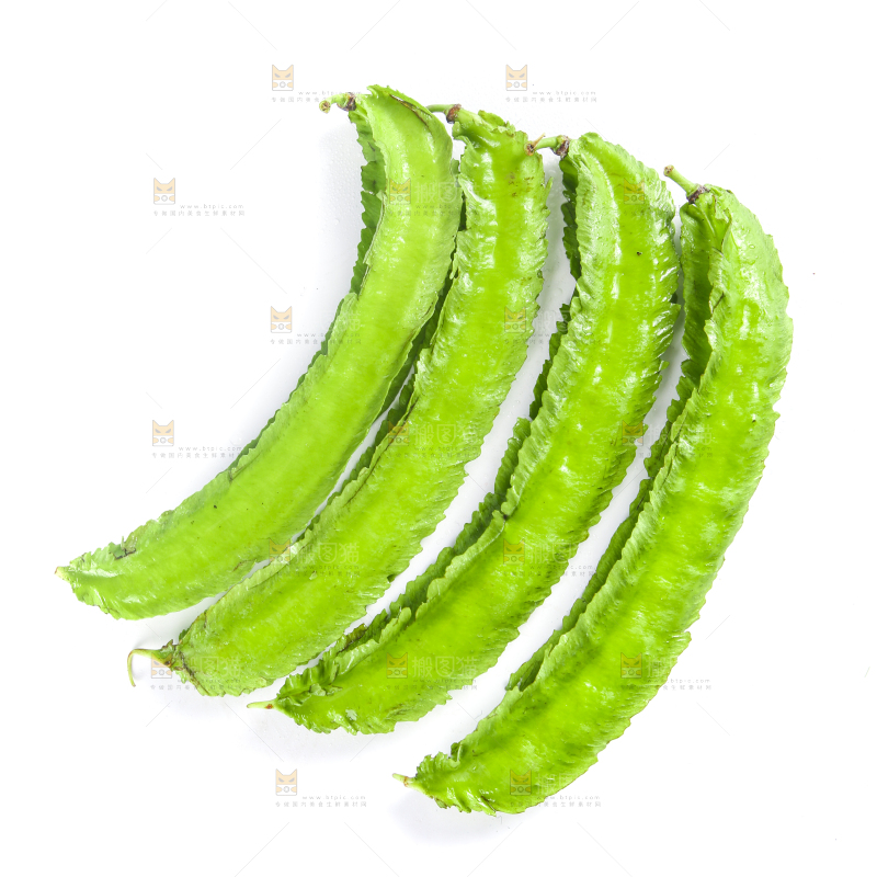 白底上摆放着四棱豆
