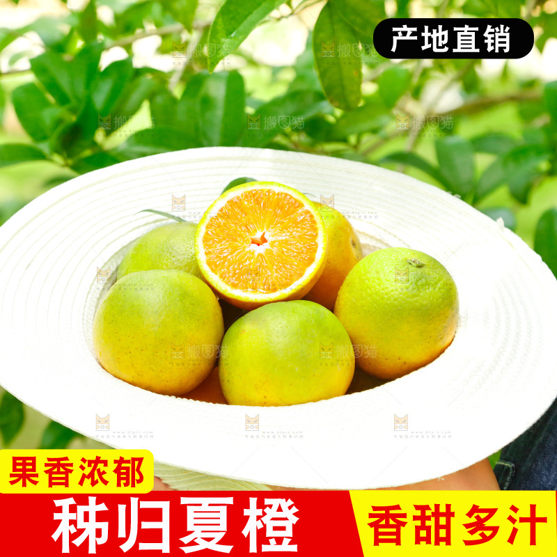 帽子里装着夏橙