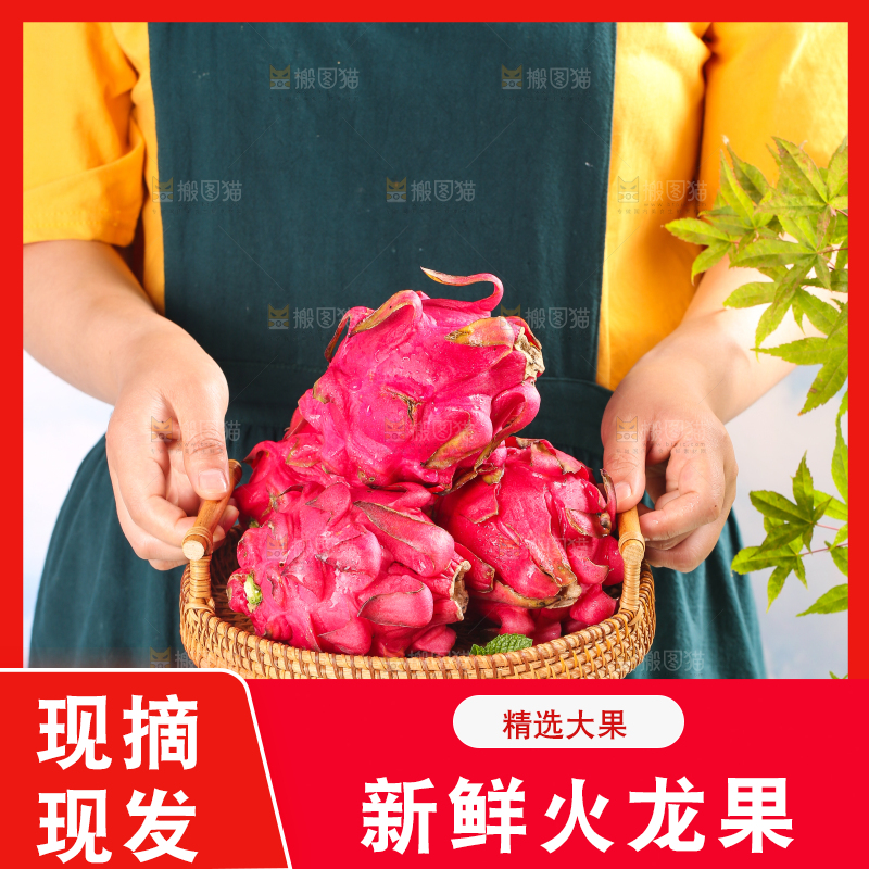 手里端着一篮火龙果