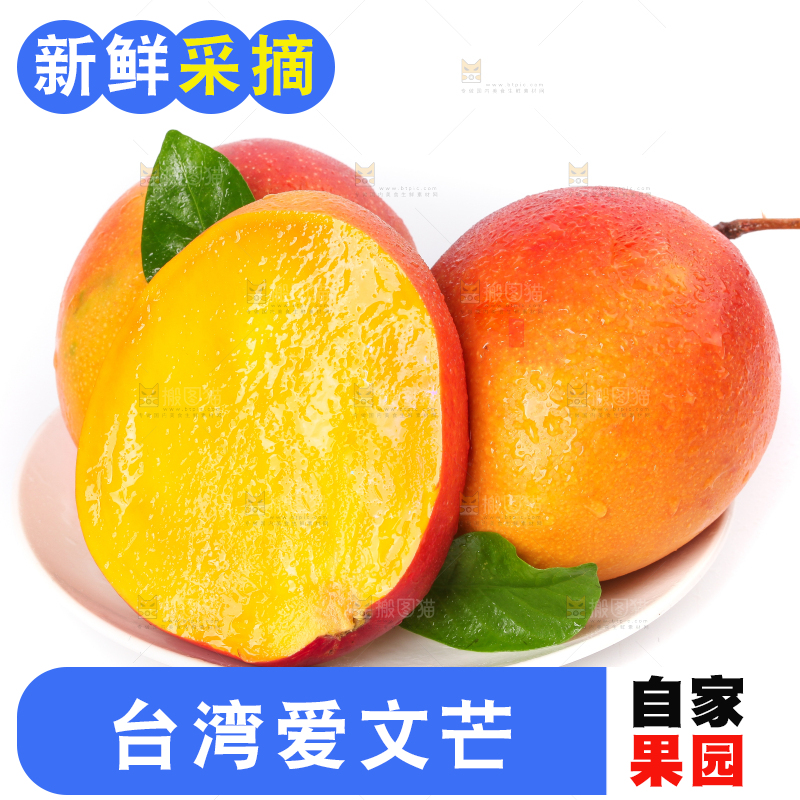 盘子里装着爱文芒