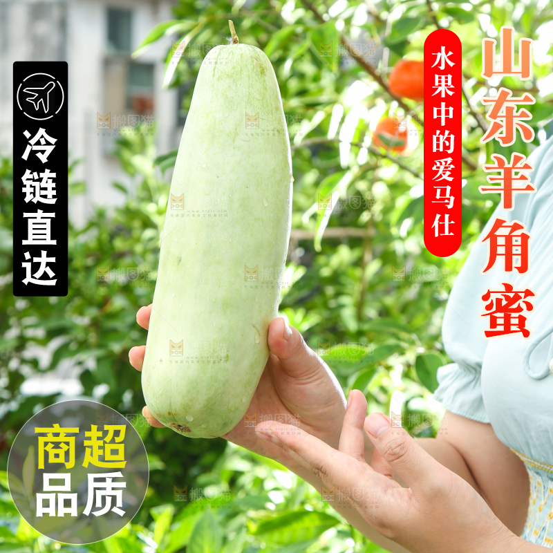 手里拿着脆甜蜜瓜