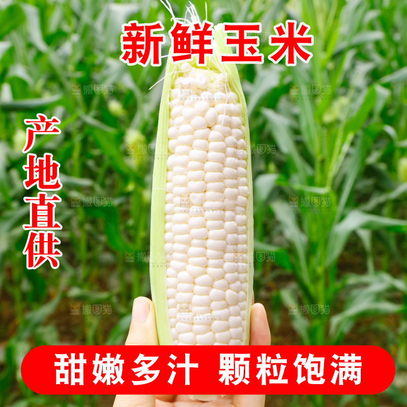 手里拿着牛奶玉米