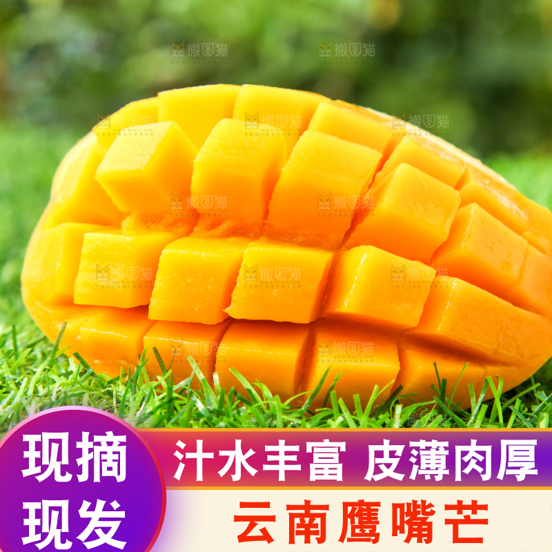 绿草地上放着芒果