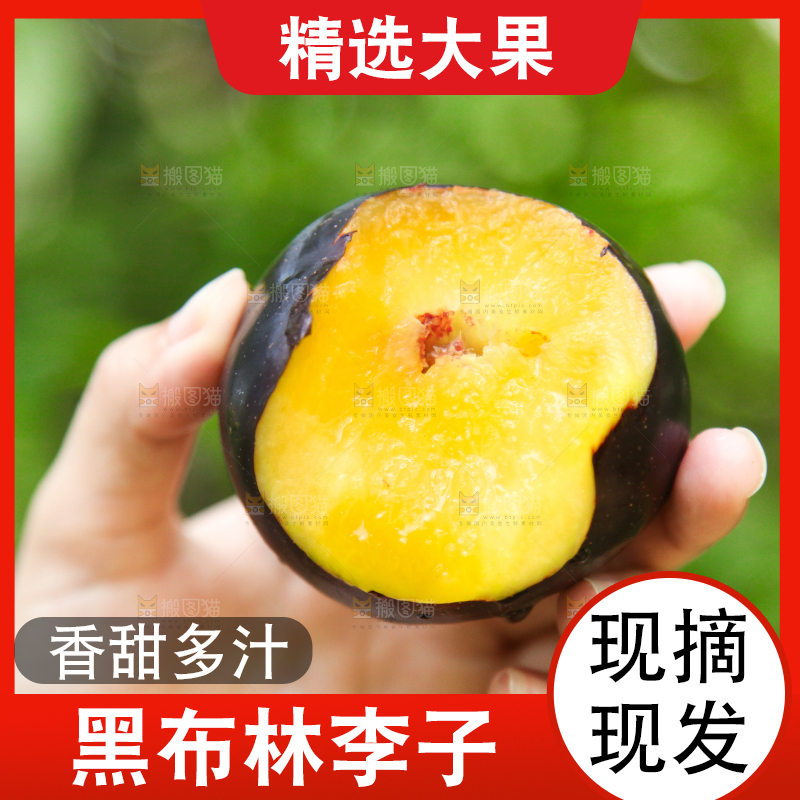 手里拿着黄肉黑布李