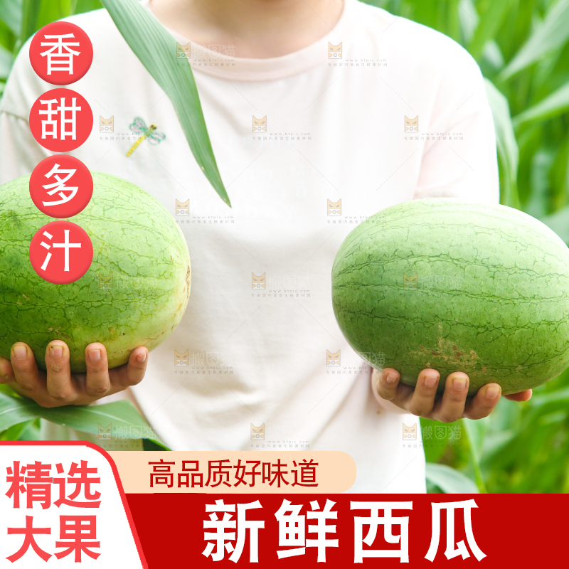 手里抱着西瓜