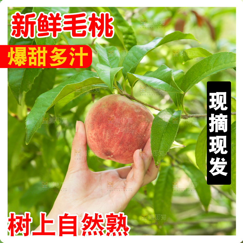 手里拿着蜜桃