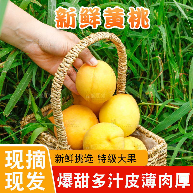 草地上放着一篮黄桃
