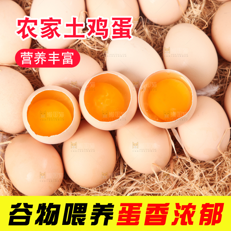 草堆上摆放着散养土鸡蛋