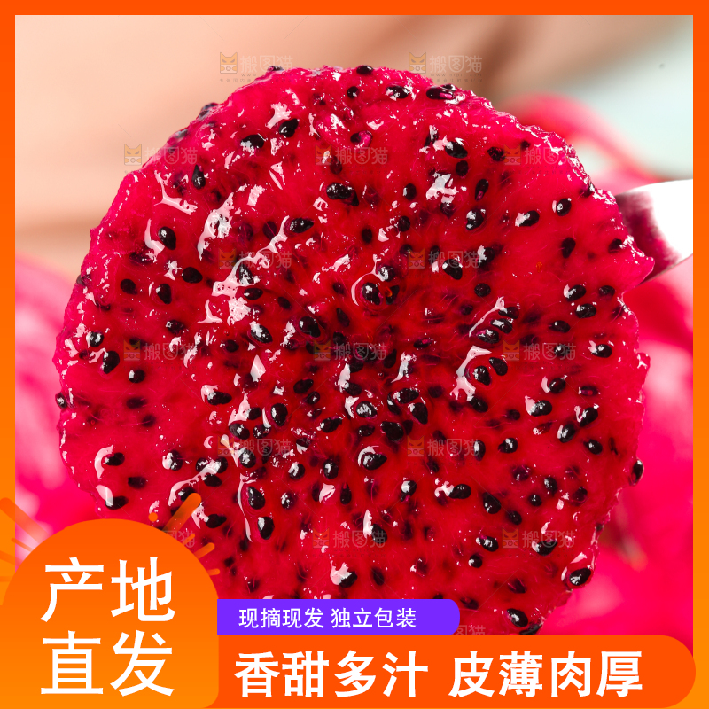 勺子上放着红心火龙果