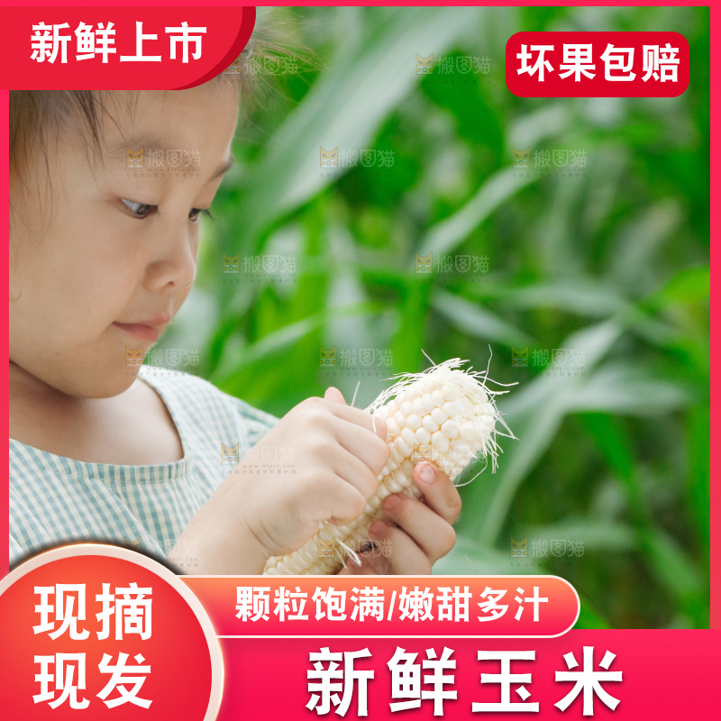 小女孩正在吃牛奶水果玉米