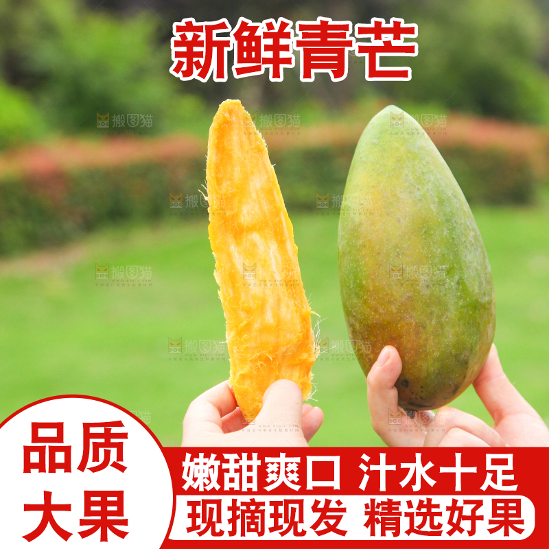 手里拿着大青芒