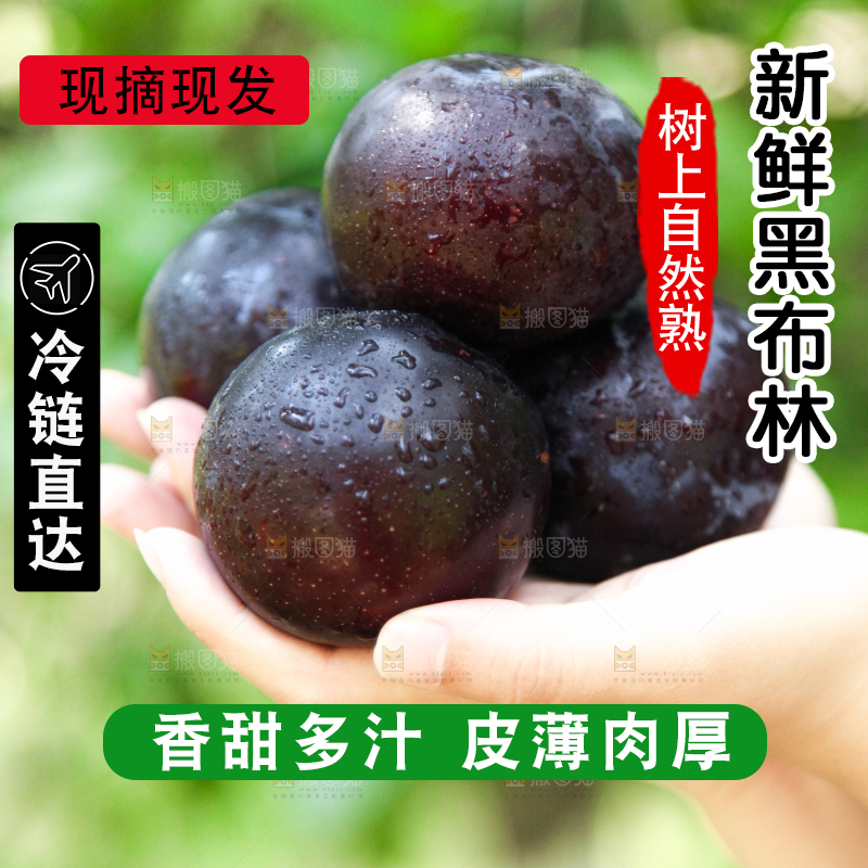 手里拿着黑布林