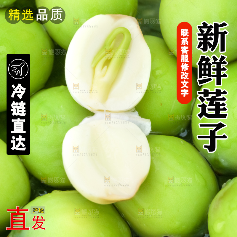 荷叶上放着新鲜莲蓬子