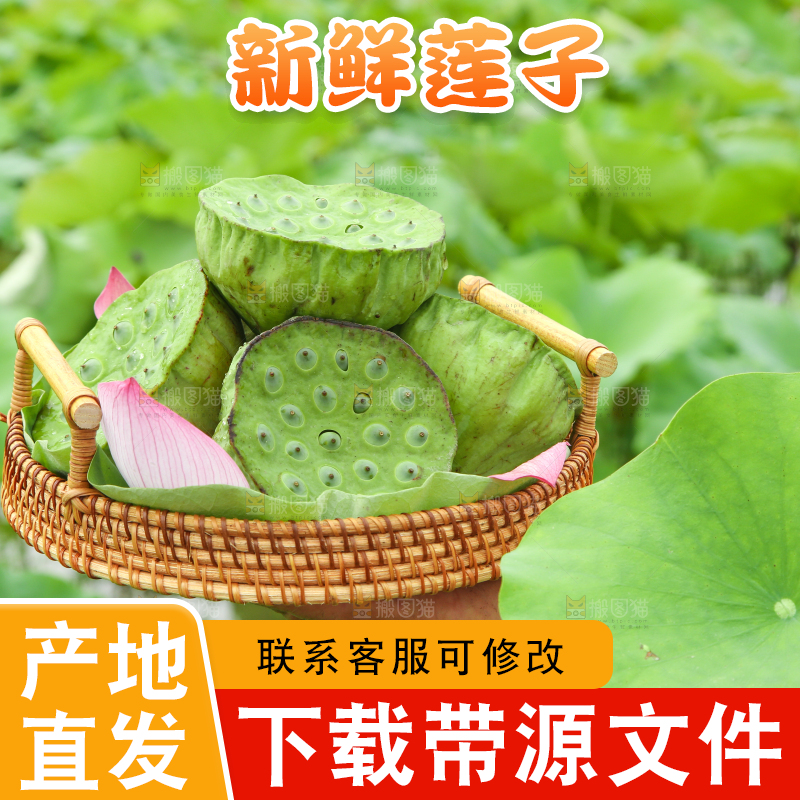 篮子里装着莲蓬子