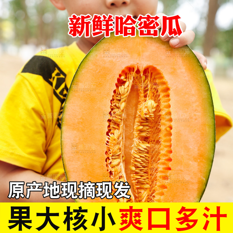 小男孩手里拿着哈密瓜