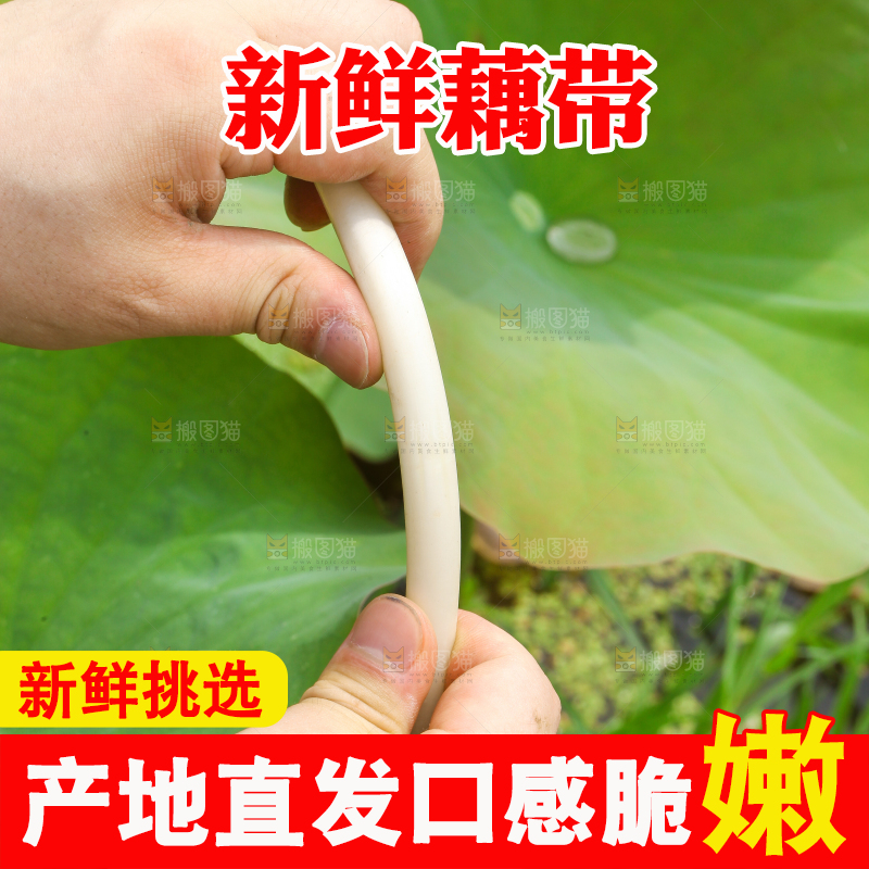 手里拿着新鲜藕带