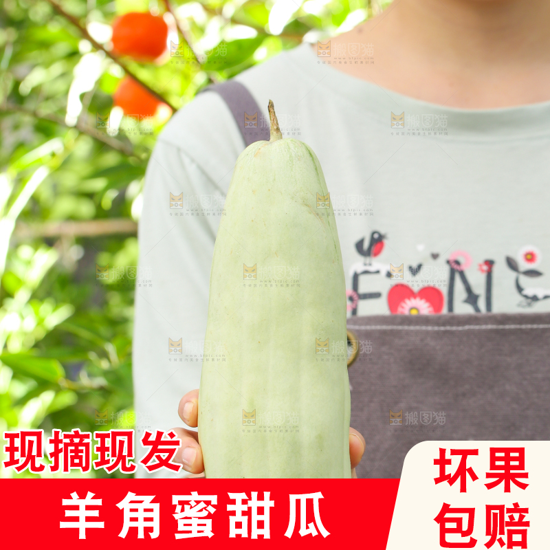手里拿着羊角蜜