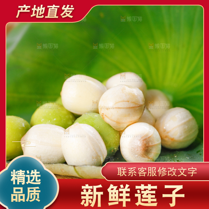 荷叶上放着新鲜莲子