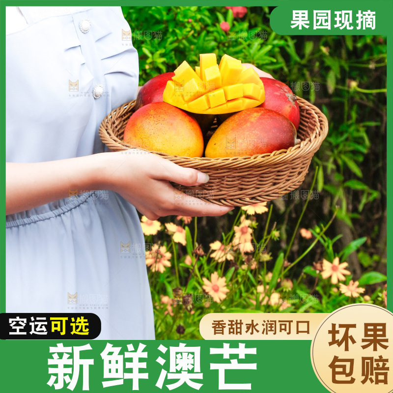 手里端着一篮澳芒