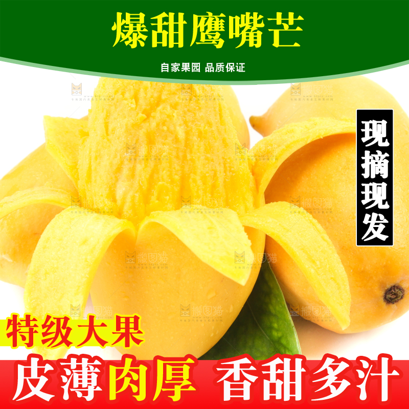 白底上放着象牙芒