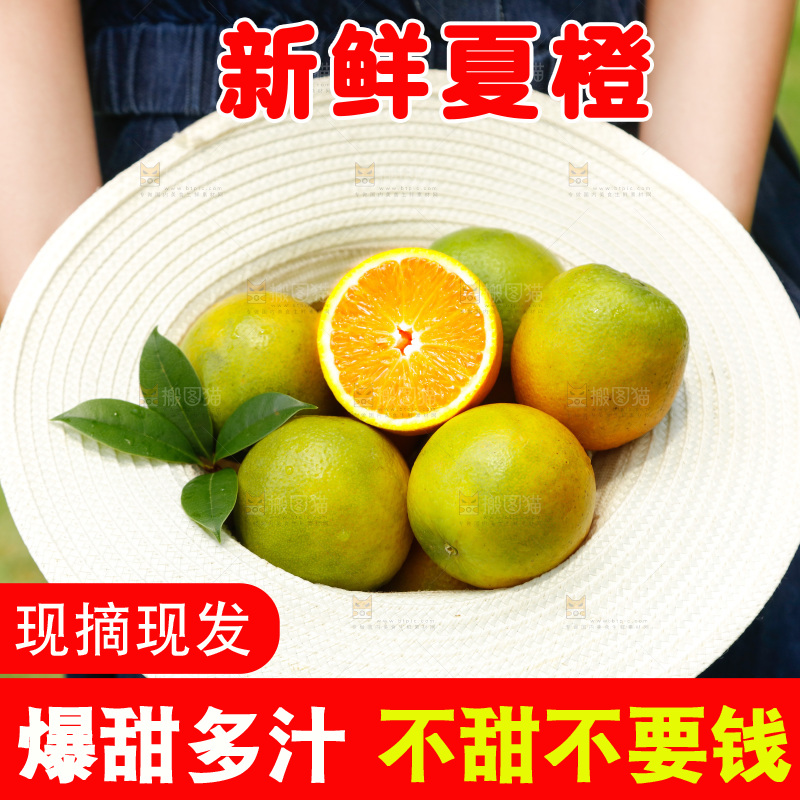 帽子里装着夏橙