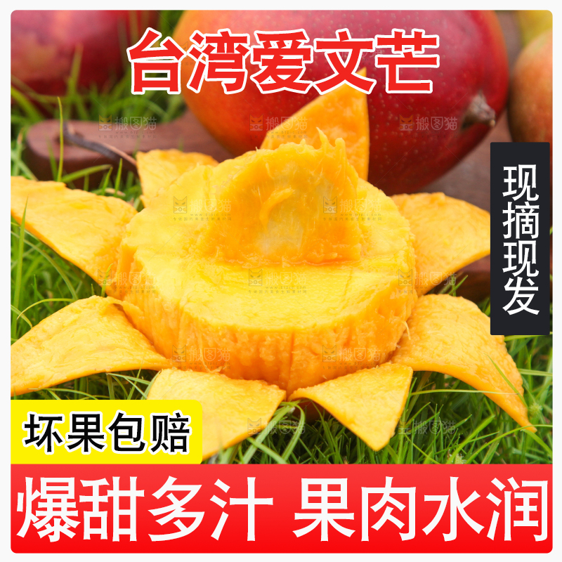 草地上摆放着爱文芒