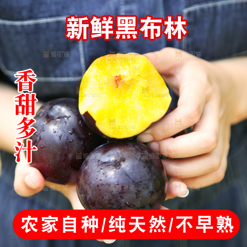手里拿着黑布林